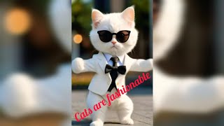 Cats are fashionable / Модные Котики #cats #fashion #music #clips #котики #мода #модные котики