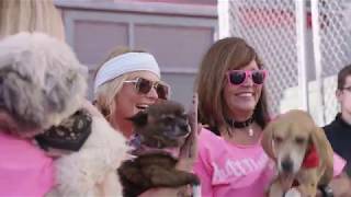 Miranda Lambert - MuttNation March (2019 Trailer)