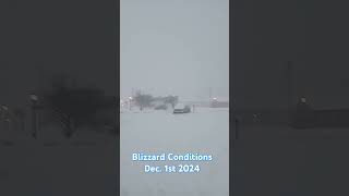 Blizzard in Northern Mi.