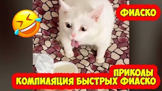 Приколы - Компиляция быстрых фиаско