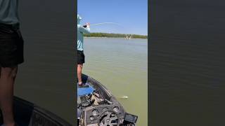 Pesca de lobina en la presa don Martín