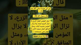 احاديث الرسول