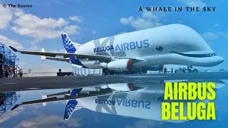 Airbus Beluga | A Whale In The Sky Airbus A300-600 ST Or Beluga #shorts The Source