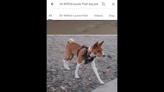 Sir-Wilfrid-Laurier Park dog park