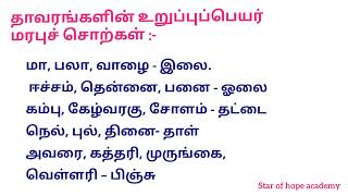 மரபுச் சொற்கள் வினைமரபுச் சொற்கள் | ஒலி மரபுச் சொற்கள் | தாவரங்களின் உறுப்புப் பெயர் மரபுச் சொற்கள்