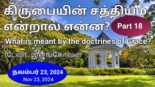 கிருபையின் சத்தியம் என்றால் என்ன?(பார்த்து 18)What is meant by the doctrines of Grace?