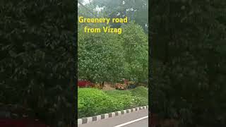 Greenery road from Vizag |పచ్చని చెట్ల మధ్య ప్రయాణం విశాఖపట్నం నుంచి| #YTSHORTS|#SHORTS|#trending