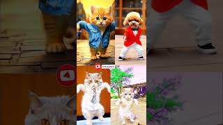 smart cat v/s dog dance compitation😂 patli kamari mori #cat #dog #dance #compitation #youtubeshorts