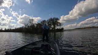 Brush Pile Spits Out 5 lbs Bass!