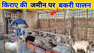 20 साल के लड़के का सफल बकरी पालन || Bakari Palan Business Plan #goatfarming