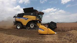 trebbiatura Grano 2020 New Holland CR10.90 - Pure Sound