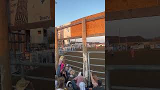 East Helena Rodeo: Part 1 - Steer Riding and Mutton Busting | Montana Rodeo Series