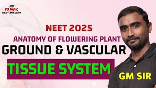 Ground and Vascular Tissue System | Anatomy of flowering plant | #neetbiology #botany #neet2025