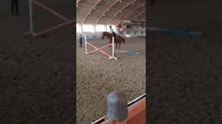 Первый раз такая высота #horse #конники #лошади #лошади_моя_жизнь #equestrian #актив_вернись #edit