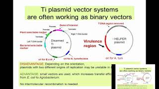 Ti Plasmid Part 2