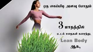 3 மாதத்தில் (Lean Body) உடல் எடை குறைக்க  || Weight Loss Tips In Tamil || Weight Loss Food Tamil