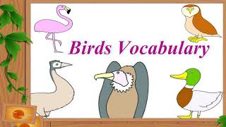 BIRDS Names  - Learn Bird Species in English