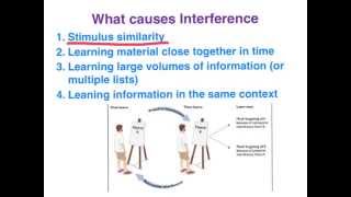 Retroactive & Proactive Interference - VCE Psychology