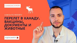 Перелеты в Канаду. Вакцины. Животные.