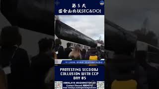 华盛顿DC，国会山和平抗议，第五天！SEC 停止种族歧视与迫害！