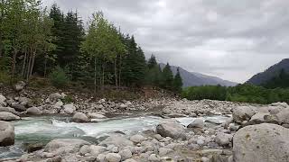 Beas River Manali      #shorts #traveling