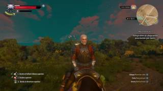 The Witcher 3: Wild Hunt_20160620233732