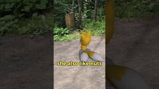 walking at the trail with Tails #tails #sonic #funny