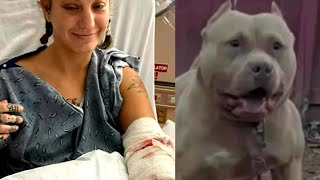 Her arm sewn to her stomach in desperate attempt to save it after Pit Bull attack