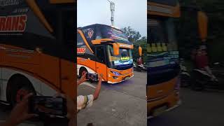 CONAN SJM TRANS mantappp #basuri #busmania