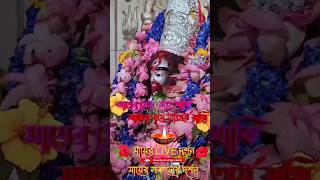 🌺 Joy Maa Tara 🌺 | TARAPITH LIVE | TARAPITH OFFICIAL |TARAPITH TEMPLE | TARAPITH BIRBHUM#shortsfeed