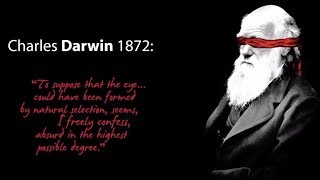 Evolution is not science...it's a religion based on faith . FACT !