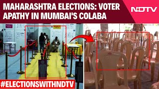 Maharashtra Assembly Election 2024 | Voter Apathy On Display In Mumbai's Colaba | Colaba Seat