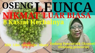 LEUNCA NIKMATNYA CAMPUR TEMPE  IKAN ASIN LUAR BIASA.