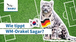 Südkorea vs. Deutschland: Wie tippt WM-Orakel Sagar?