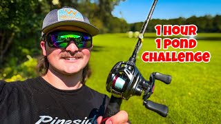 1 Hour 1 Pond Fishing Challenge (FINALLY Caught One!)