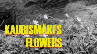 Kaurismäki's Flowers