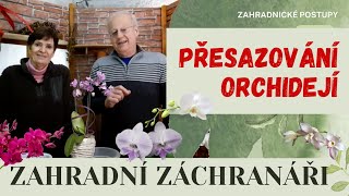 Přesazování orchidejí #orchideje #presazovani #kvetiny #zahrada