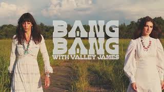 Cher - Bang Bang - Cover by Nicki Bluhm feat. Valley James