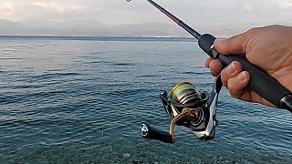 Live fishing Lrf -Spinning