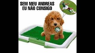 PALMEIRAS NÃO TEM MUNDIAL