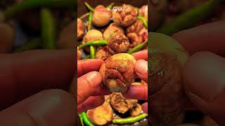 p584 | Balut eggs are super delicious #asmr #mukabang #funny