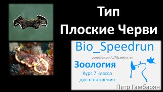 5. Плоские черви (Speedrun зоология 7 класс, ЕГЭ, ОГЭ 2021)