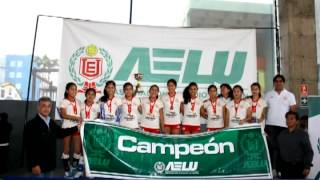 XIII Copa AELU de Voley