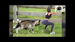 Funny attack animals compilation 2021 Part #5