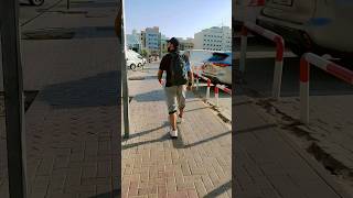 Deira Dubai #youtubeshorts #shortvideo #travel #trending #love