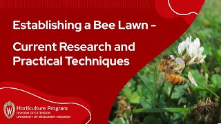 Establishing a Bee Lawn – Current Research and Practical Techniques