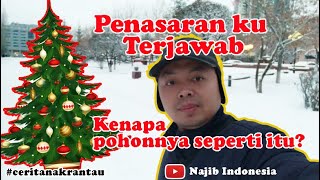 CERITA ANAK RANTAU : PENASARAN TTG POHON NATAL / POHON TAHUN BARU