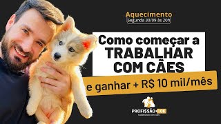 Como começar a trabalhar com cães e ganhar mais de 10 mil reais por mês | Live #01