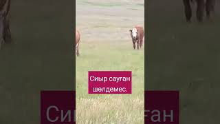 #хочуврек