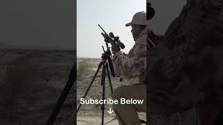 Hunting Blackbuck in Pakistan! #shorts